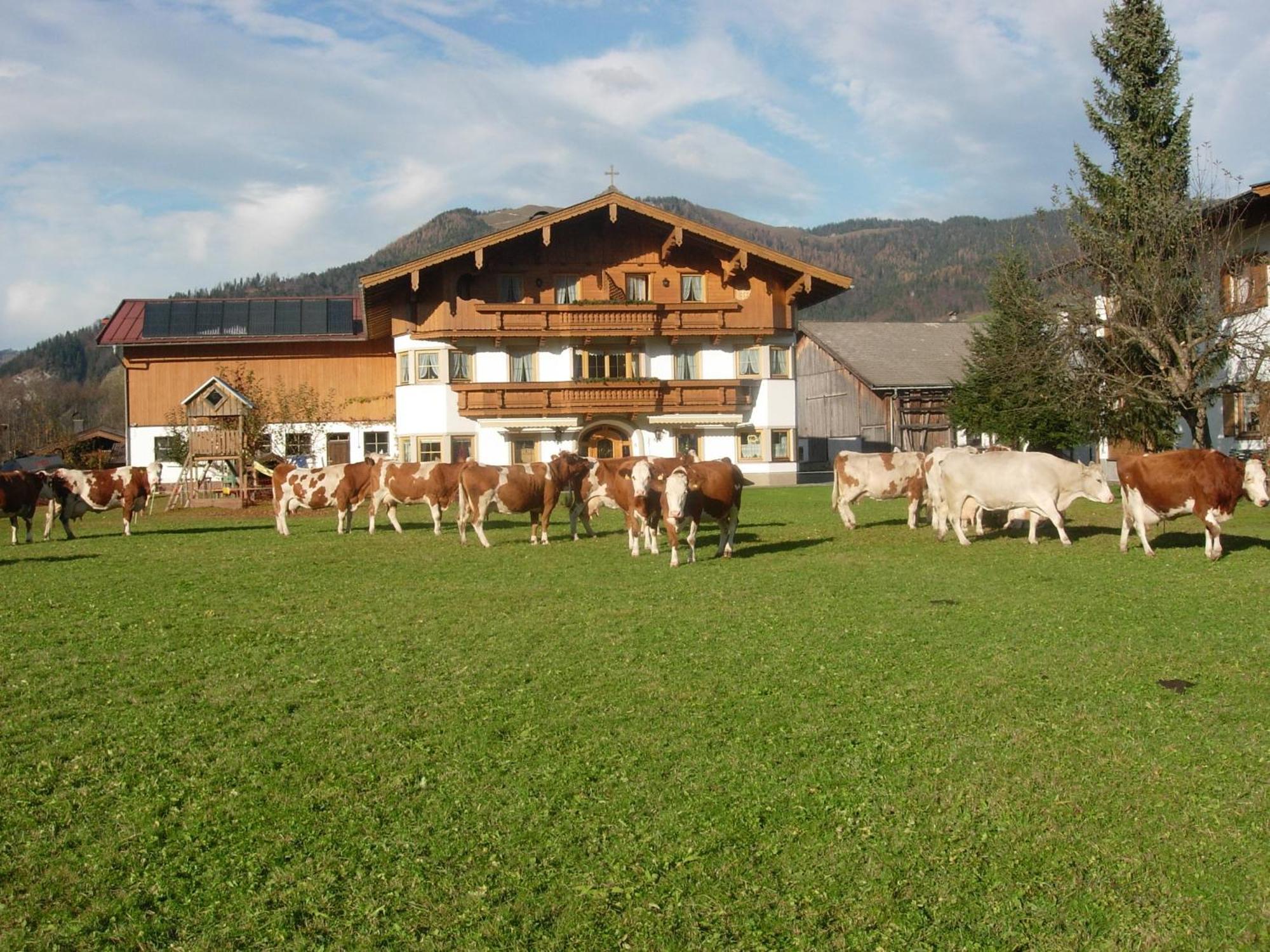 Villa Hüttschmiedhof Kössen Zimmer foto